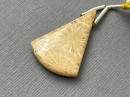 Large Fossil Coral Bead | Natural Loose Gemstone | Z216 - - GemEnthusiast