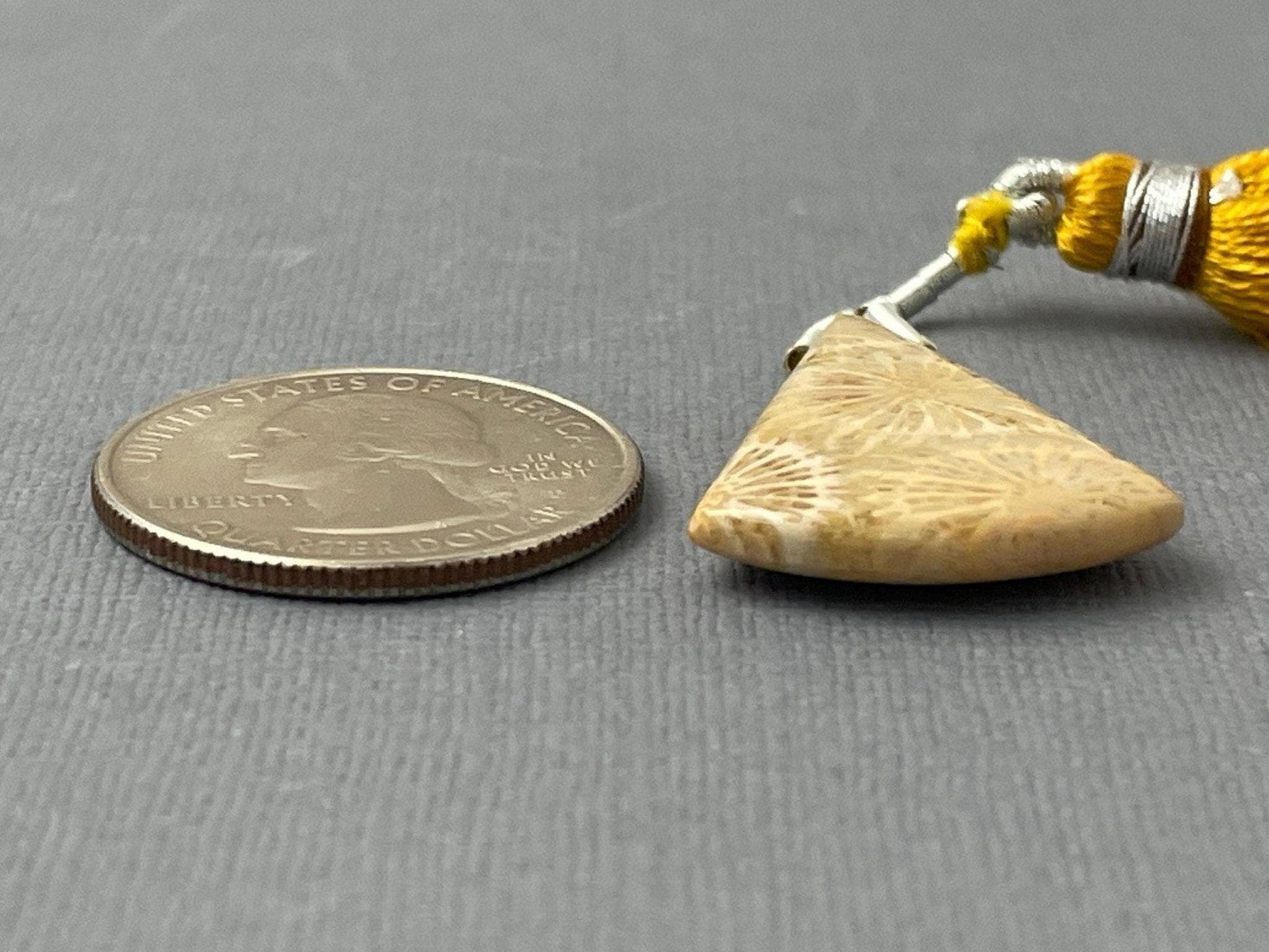 Large Fossil Coral Bead | Natural Loose Gemstone | Z216 - - GemEnthusiast