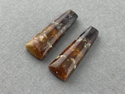 Petrified Wood Pair | Natural Fossil Cabochons | AG303 - Petrified Wood Opal - GemEnthusiast