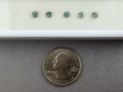 3.5mm Montana Sapphire: Green Round Brilliant Loose Gemstone, Per Stone - Montana Sapphire - GemEnthusiast