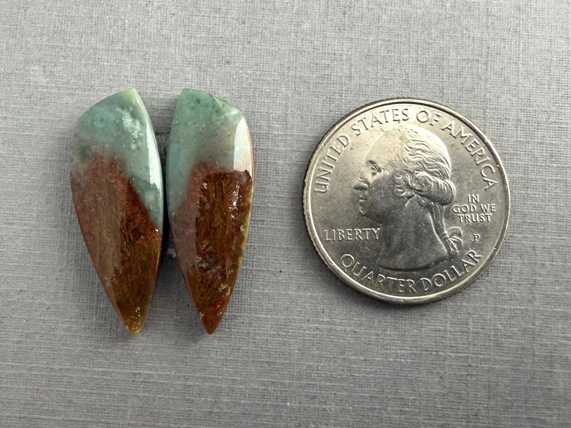 Petrified Wood Opal Pair | Natural Indonesia Cabochons | WO243 - Petrified Wood Opal, Opalized Wood - GemEnthusiast