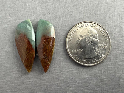 Petrified Wood Opal Pair | Natural Indonesia Cabochons | WO243 - Petrified Wood Opal, Opalized Wood - GemEnthusiast