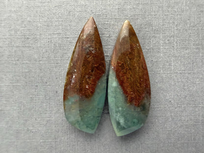 Petrified Wood Opal Pair | Natural Indonesia Cabochons | WO243 - Petrified Wood Opal, Opalized Wood - GemEnthusiast