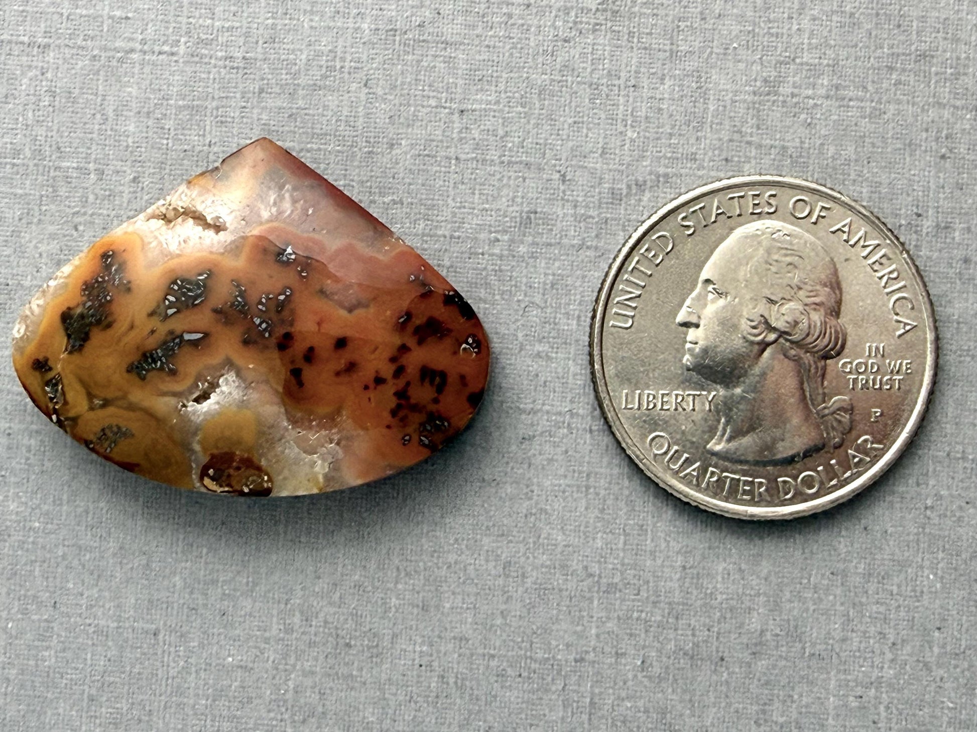 Marcasite in Quartz Cabochon | Natural Gemstone | 32x25x8 | QU526 - Marcasite, Quartz - GemEnthusiast