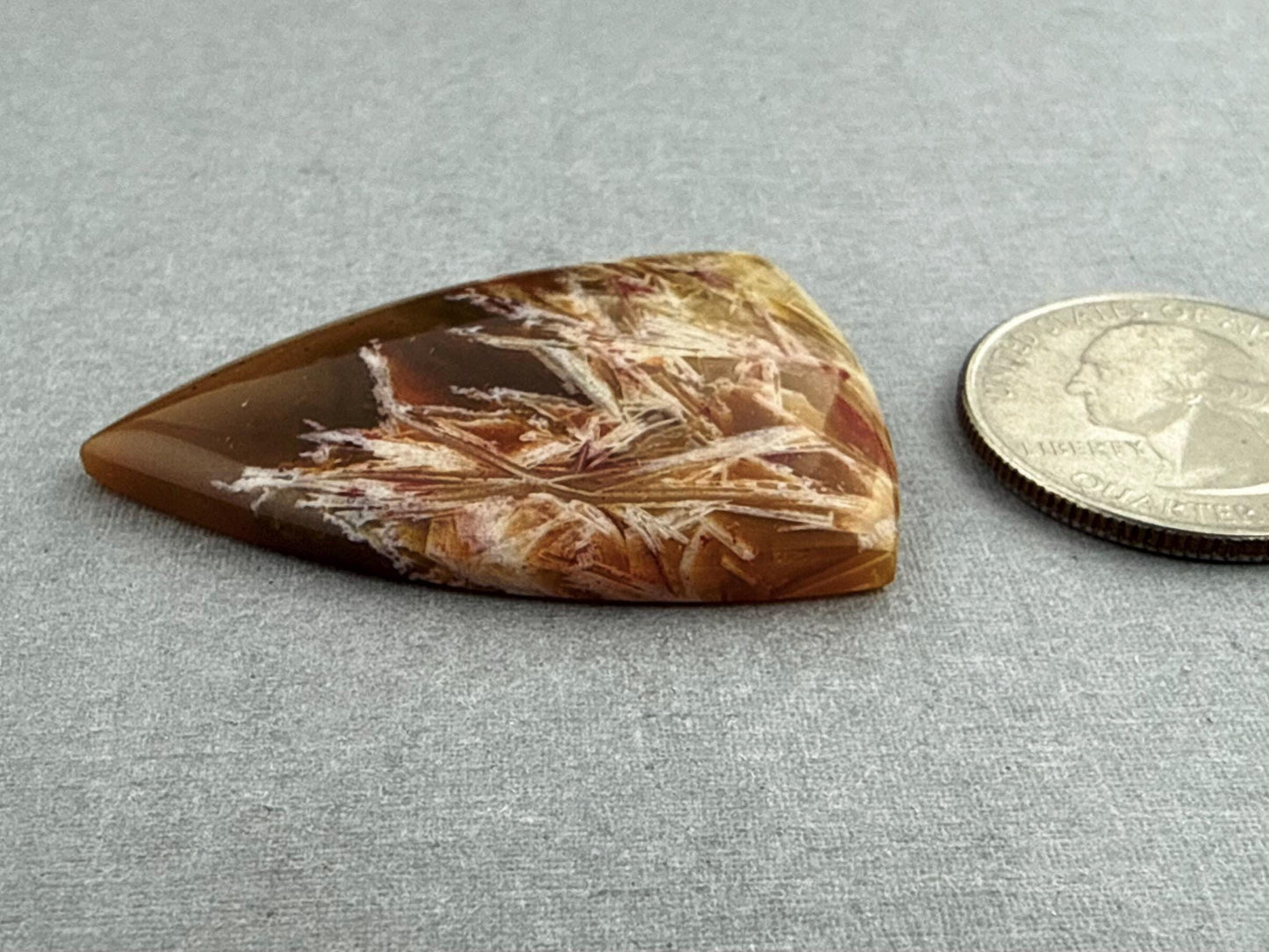 Condor Sagenite Agate Cabochon | Chalcedony from Patagonia Argentina | AG305 - Condor Agate, Sagenite Agate - GemEnthusiast