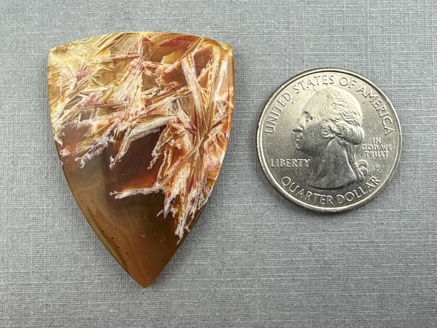 Condor Sagenite Agate Cabochon | Chalcedony from Patagonia Argentina | AG305 - Condor Agate, Sagenite Agate - GemEnthusiast