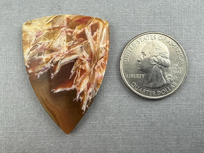 Condor Sagenite Agate Cabochon | Chalcedony from Patagonia Argentina | AG305 - Condor Agate, Sagenite Agate - GemEnthusiast