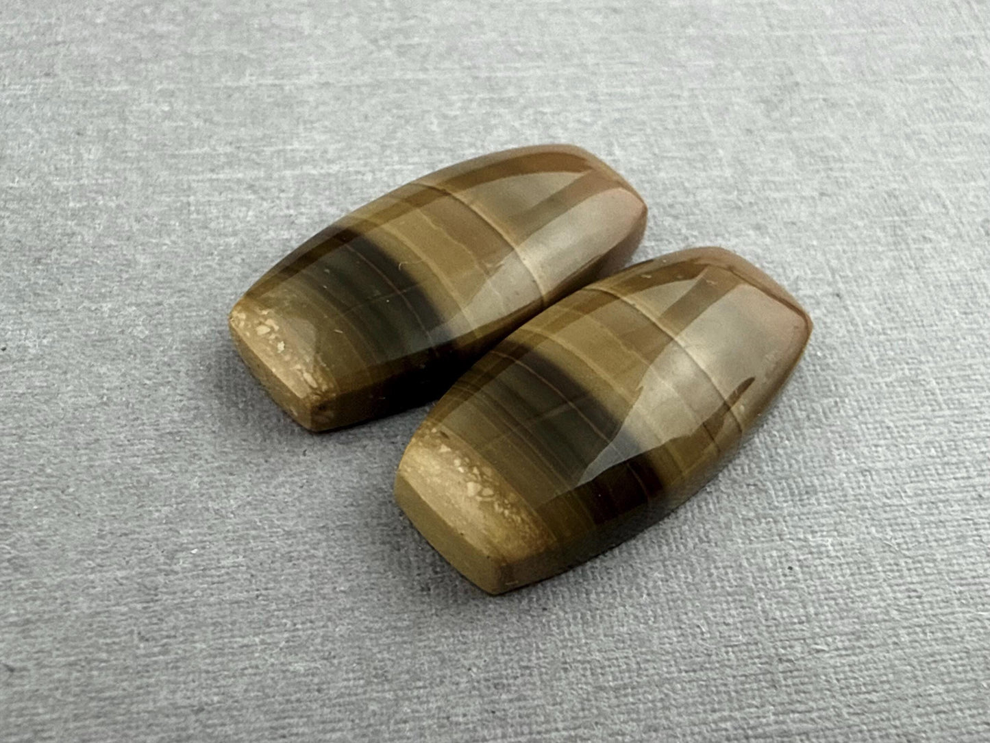 Oregon Blue Mountain Jasper Pair | Mined in the USA | JS323 - Blue Mountain Jasper, Oregon Gemstone - GemEnthusiast
