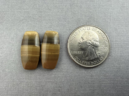 Oregon Blue Mountain Jasper Pair | Mined in the USA | JS323 - Blue Mountain Jasper, Oregon Gemstone - GemEnthusiast