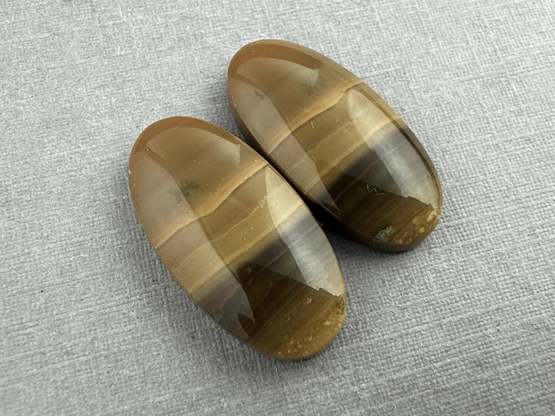 Oregon Blue Mountain Jasper Pair | Mined in the USA | JS327 - Blue Mountain Jasper, Oregon Gemstone - GemEnthusiast