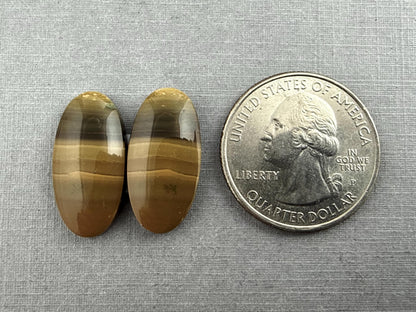 Oregon Blue Mountain Jasper Pair | Mined in the USA | JS327 - Blue Mountain Jasper, Oregon Gemstone - GemEnthusiast
