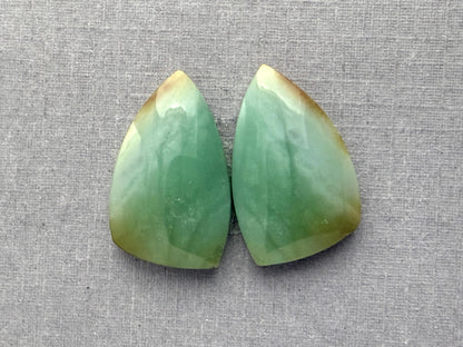Petrified Wood Opal Pairs | Natural Indonesian Gemstone | WO242 - Fossilized Wood Opal, Petrified Wood Opal - GemEnthusiast