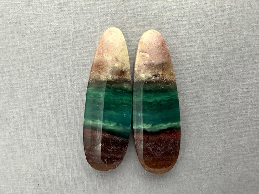 Petrified Wood Opal Pair | Natural Oval Cabochons | WO248 - Petrified Wood Opal - GemEnthusiast