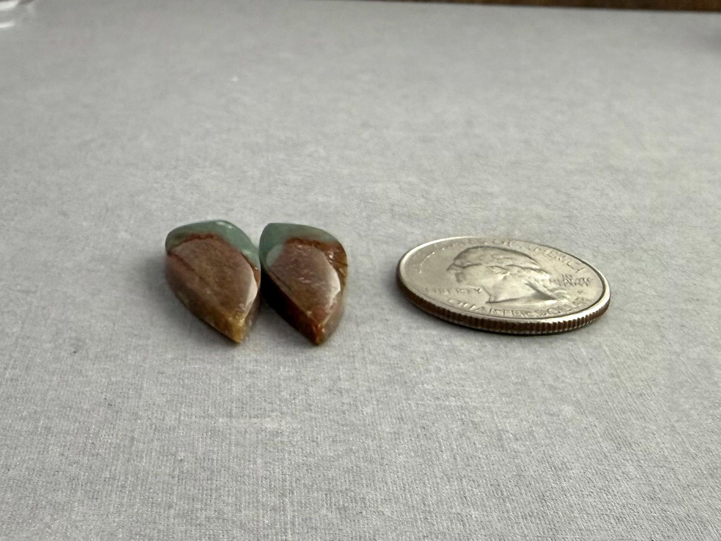 Petrified Wood Opal Pair | Natural Indonesia Cabochons | WO243 - Petrified Wood Opal, Opalized Wood - GemEnthusiast