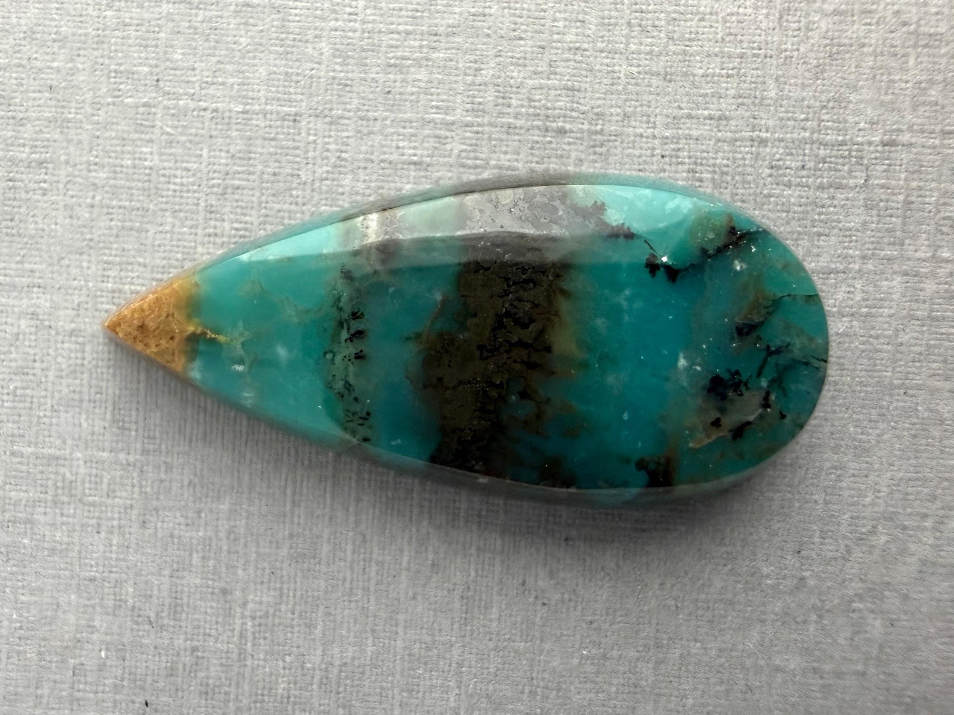 Petrified Wood Opal Pear | Natural Opalized Fossil Cabochon | WO244 - Petrified Wood Opal, Opalized Wood - GemEnthusiast