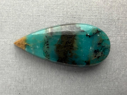 Petrified Wood Opal Pear | Natural Opalized Fossil Cabochon | WO244 - Petrified Wood Opal, Opalized Wood - GemEnthusiast