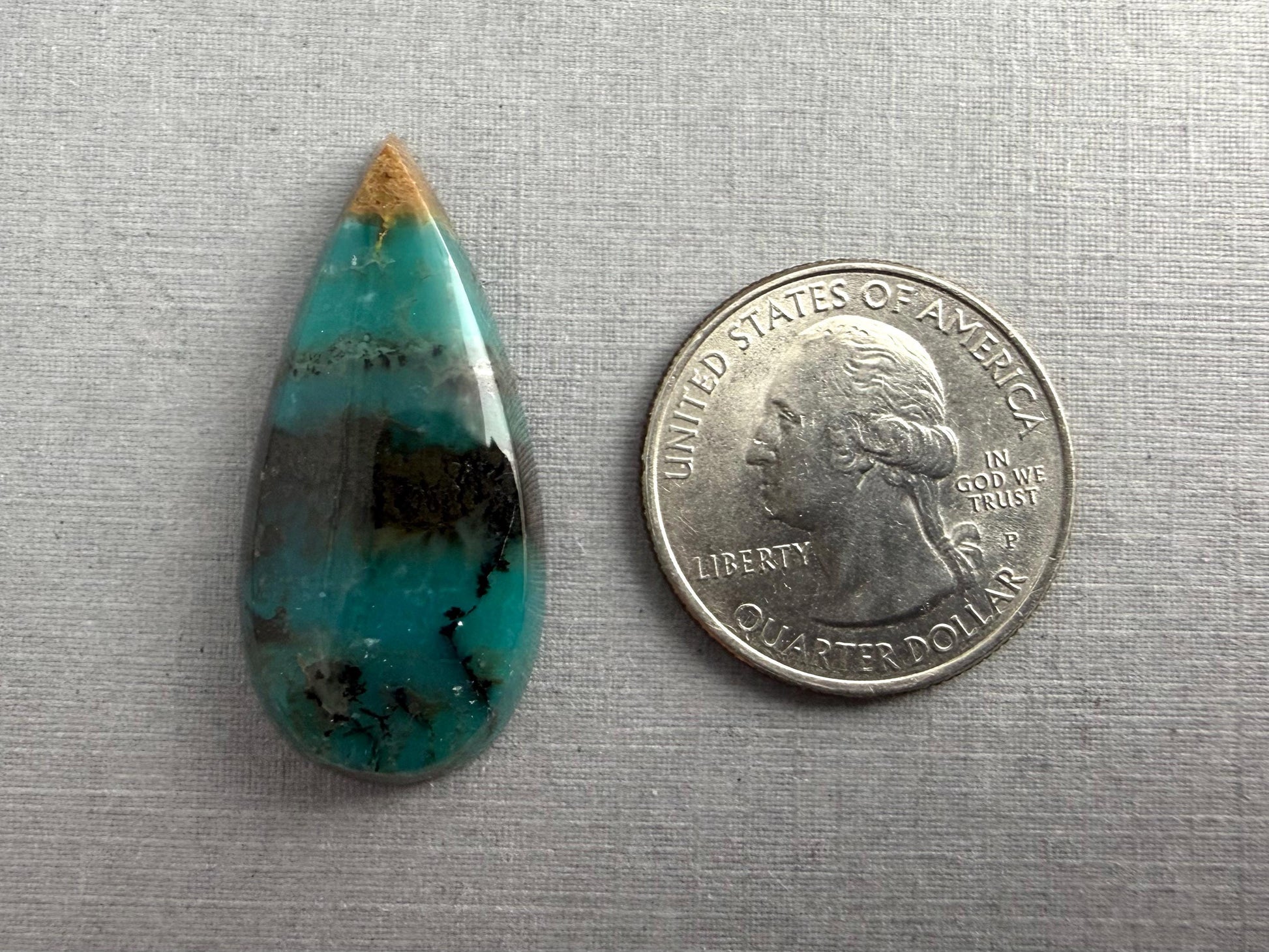 Petrified Wood Opal Pear | Natural Opalized Fossil Cabochon | WO244 - Petrified Wood Opal, Opalized Wood - GemEnthusiast