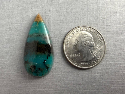 Petrified Wood Opal Pear | Natural Opalized Fossil Cabochon | WO244 - Petrified Wood Opal, Opalized Wood - GemEnthusiast