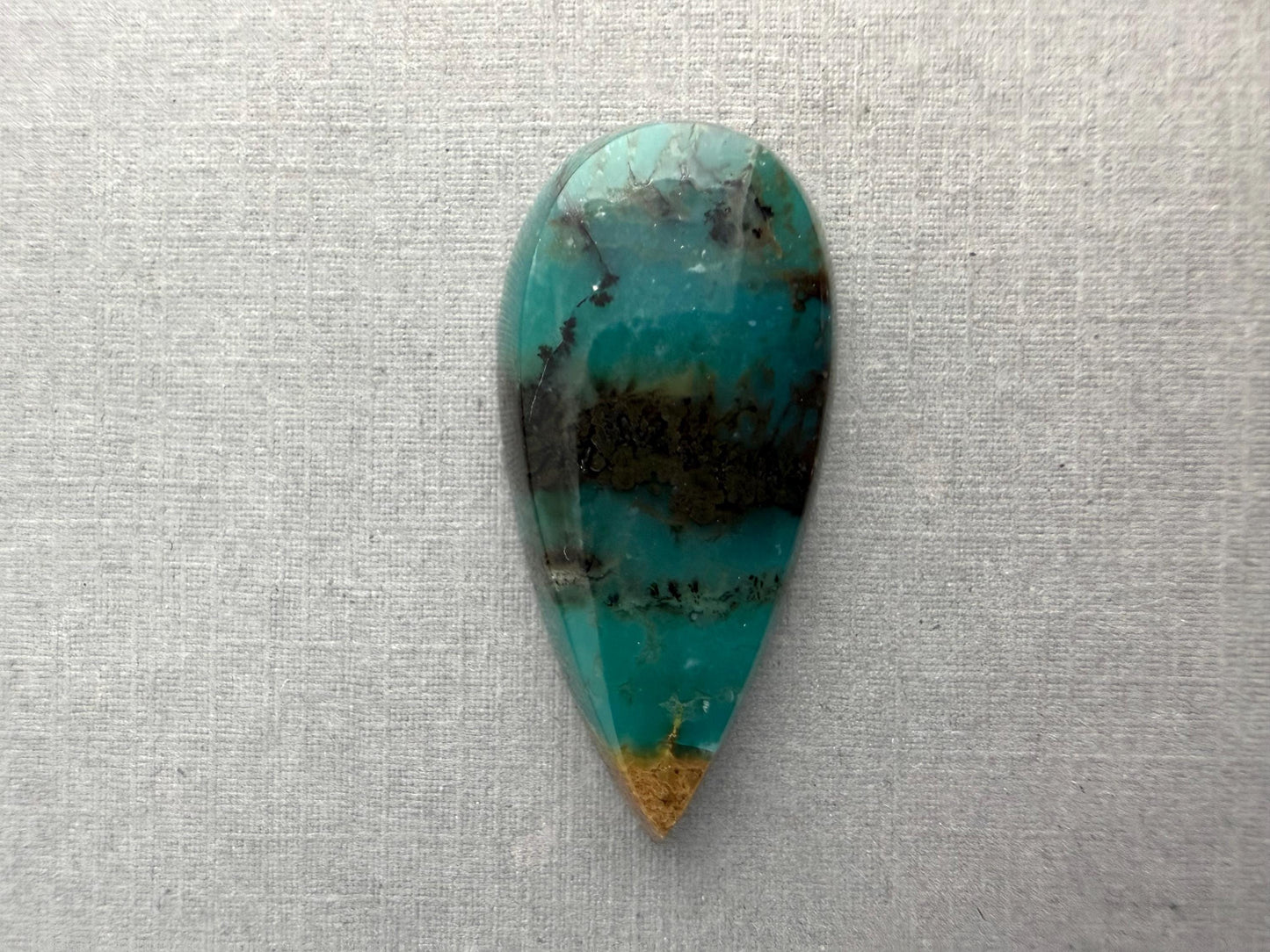 Petrified Wood Opal Pear | Natural Opalized Fossil Cabochon | WO244 - Petrified Wood Opal, Opalized Wood - GemEnthusiast