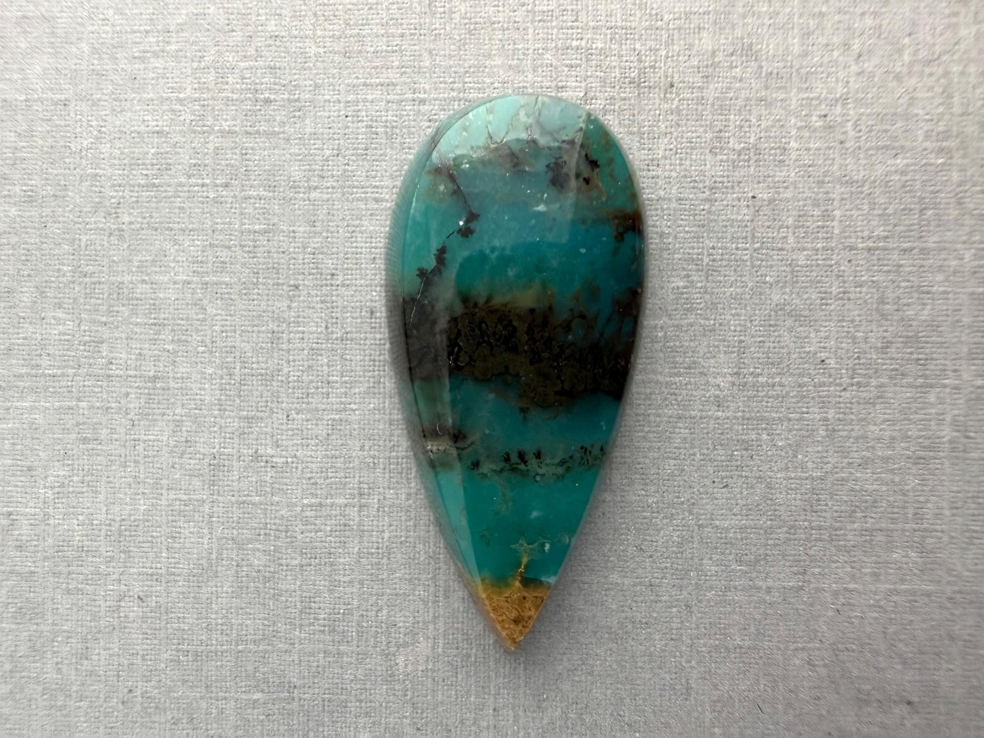 Petrified Wood Opal Pear | Natural Opalized Fossil Cabochon | WO244 - Petrified Wood Opal, Opalized Wood - GemEnthusiast