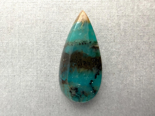 Petrified Wood Opal Pear | Natural Opalized Fossil Cabochon | WO244 - Petrified Wood Opal, Opalized Wood - GemEnthusiast