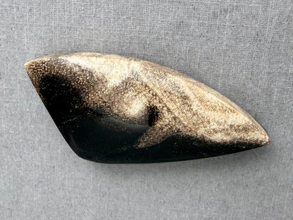 Smokey Petrified Wood | Natural Fossil Cabochons | WO254 - Petrified Wood, Smokey Quartz - GemEnthusiast