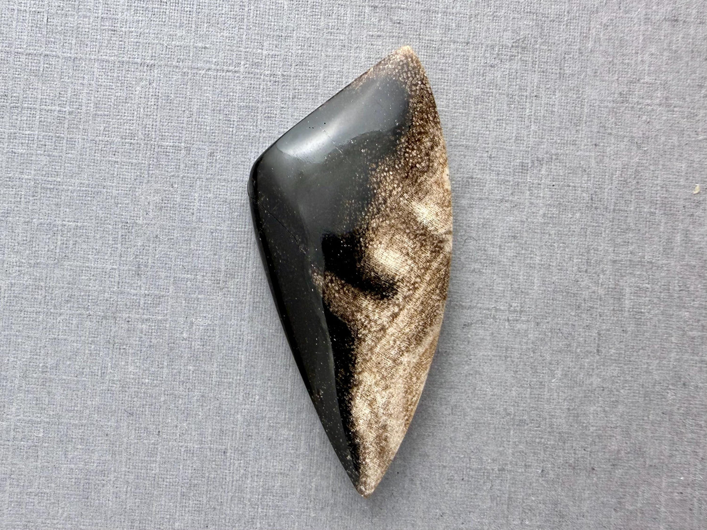 Smokey Petrified Wood | Natural Fossil Cabochons | WO254 - Petrified Wood, Smokey Quartz - GemEnthusiast