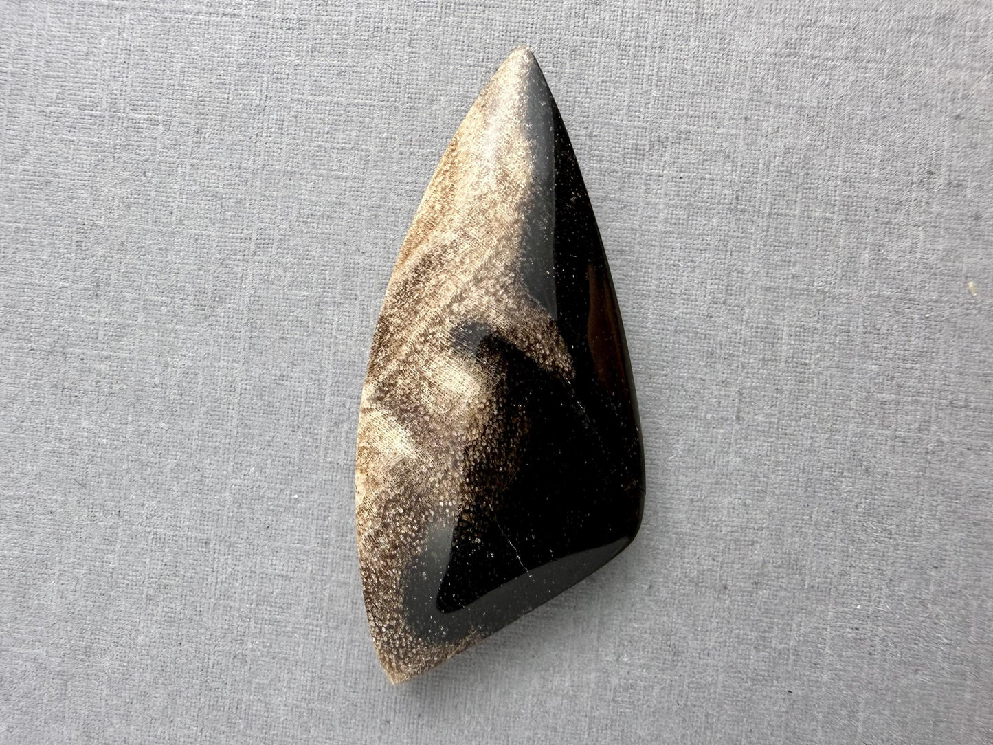 Smokey Petrified Wood | Natural Fossil Cabochons | WO254 - Petrified Wood, Smokey Quartz - GemEnthusiast