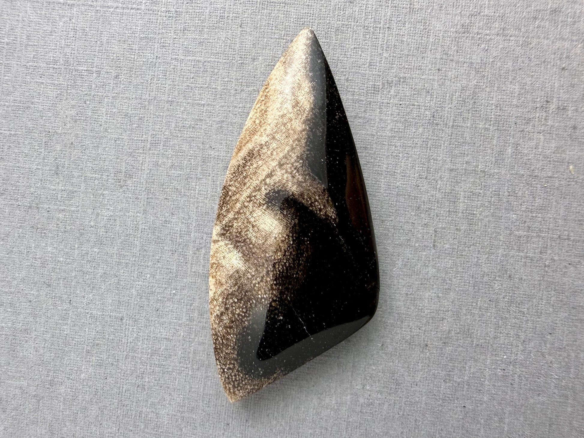 Smokey Petrified Wood | Natural Fossil Cabochons | WO254 - Petrified Wood, Smokey Quartz - GemEnthusiast
