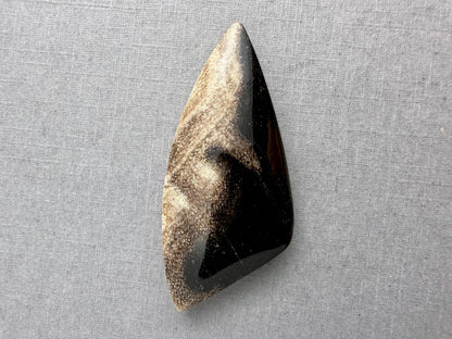 Smokey Petrified Wood | Natural Fossil Cabochons | WO254 - Petrified Wood, Smokey Quartz - GemEnthusiast