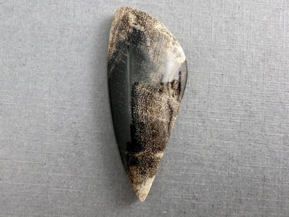 Smokey Petrified Wood | Natural Fossil Cabochons | WO253 - Petrified Wood, Smokey Quartz - GemEnthusiast