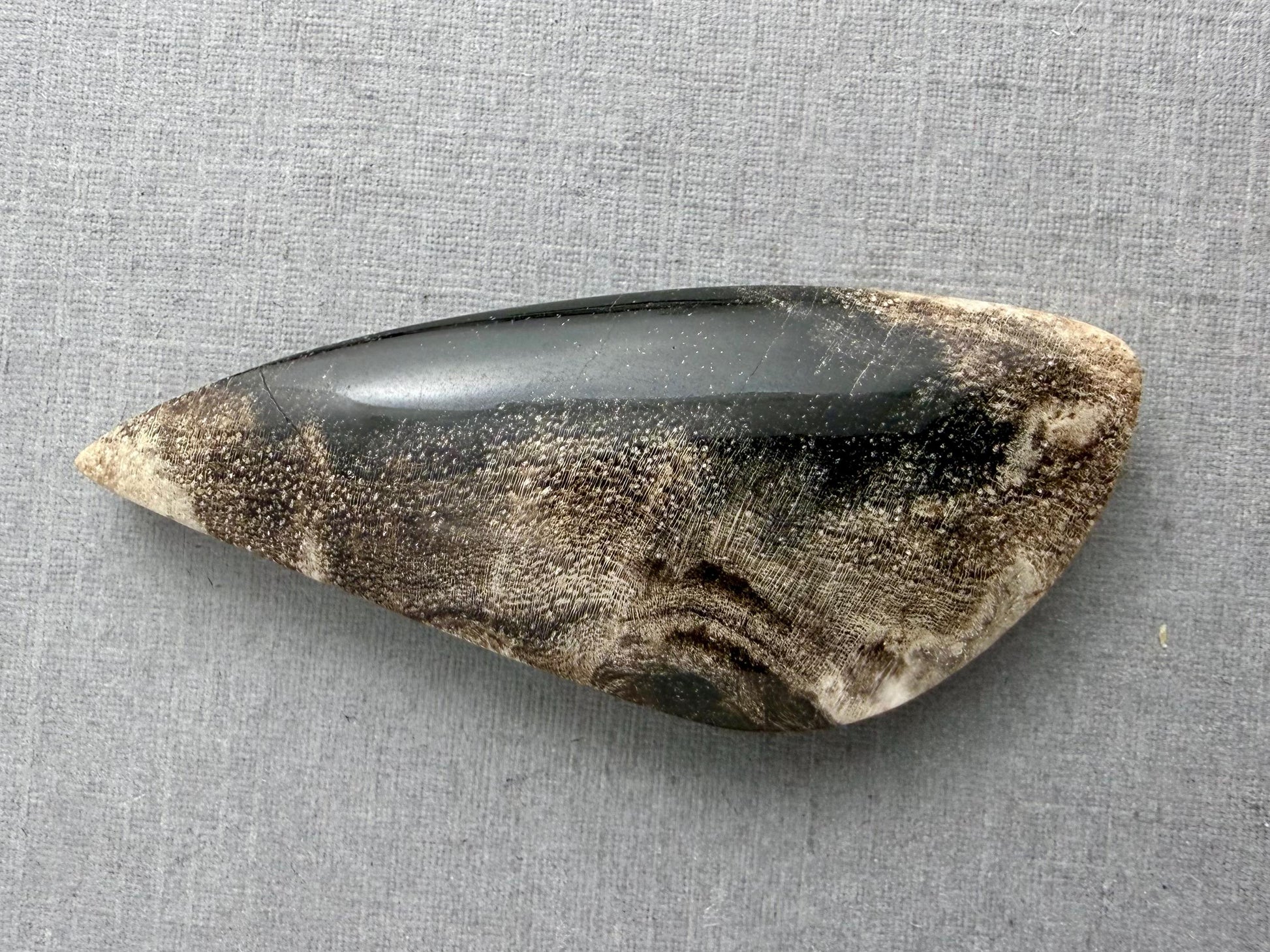 Smokey Petrified Wood | Natural Fossil Cabochons | WO253 - Petrified Wood, Smokey Quartz - GemEnthusiast