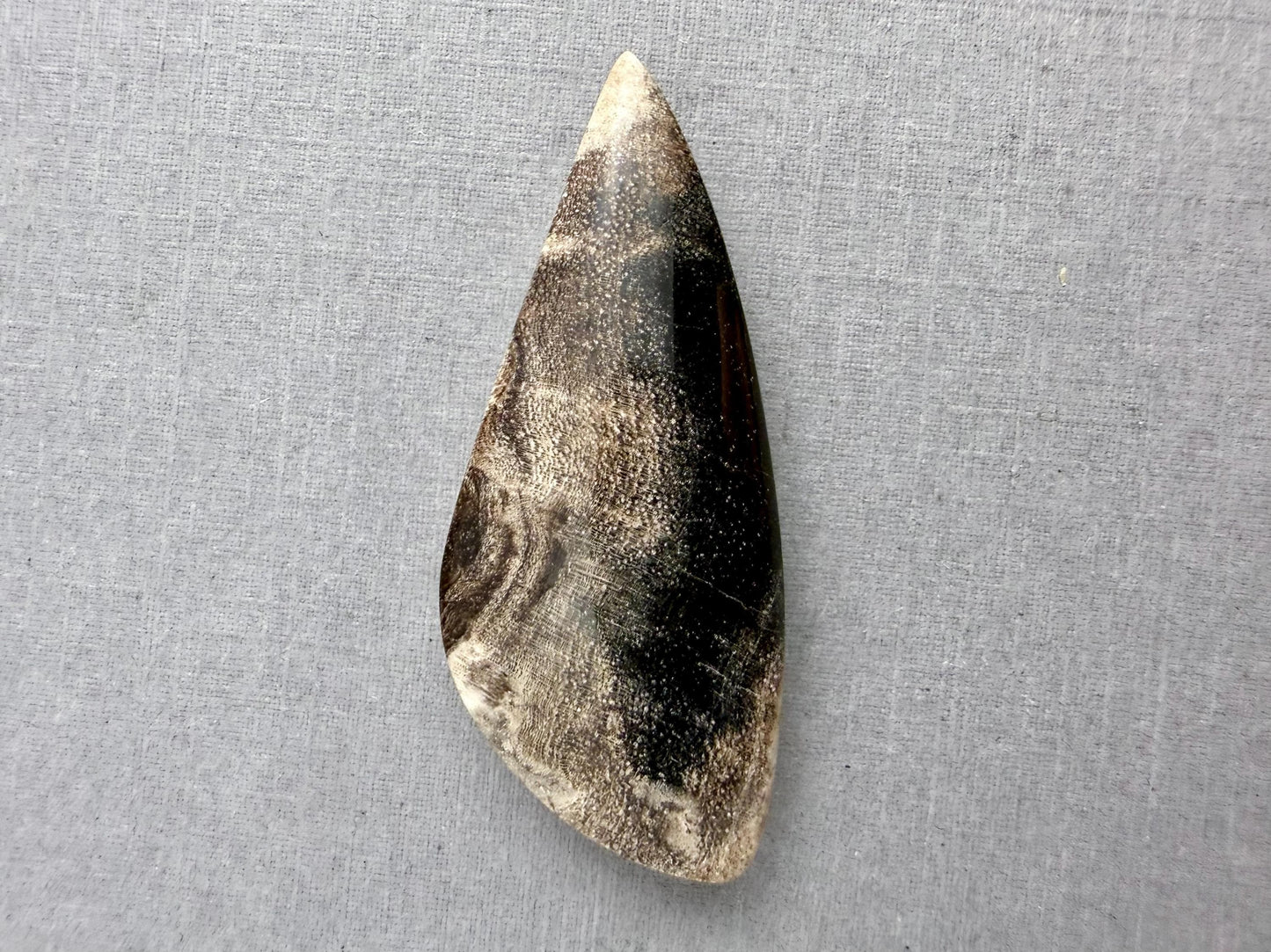 Smokey Petrified Wood | Natural Fossil Cabochons | WO253 - Petrified Wood, Smokey Quartz - GemEnthusiast