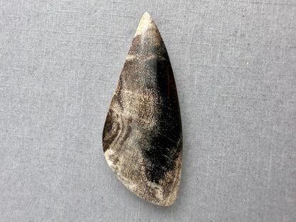Smokey Petrified Wood | Natural Fossil Cabochons | WO253 - Petrified Wood, Smokey Quartz - GemEnthusiast