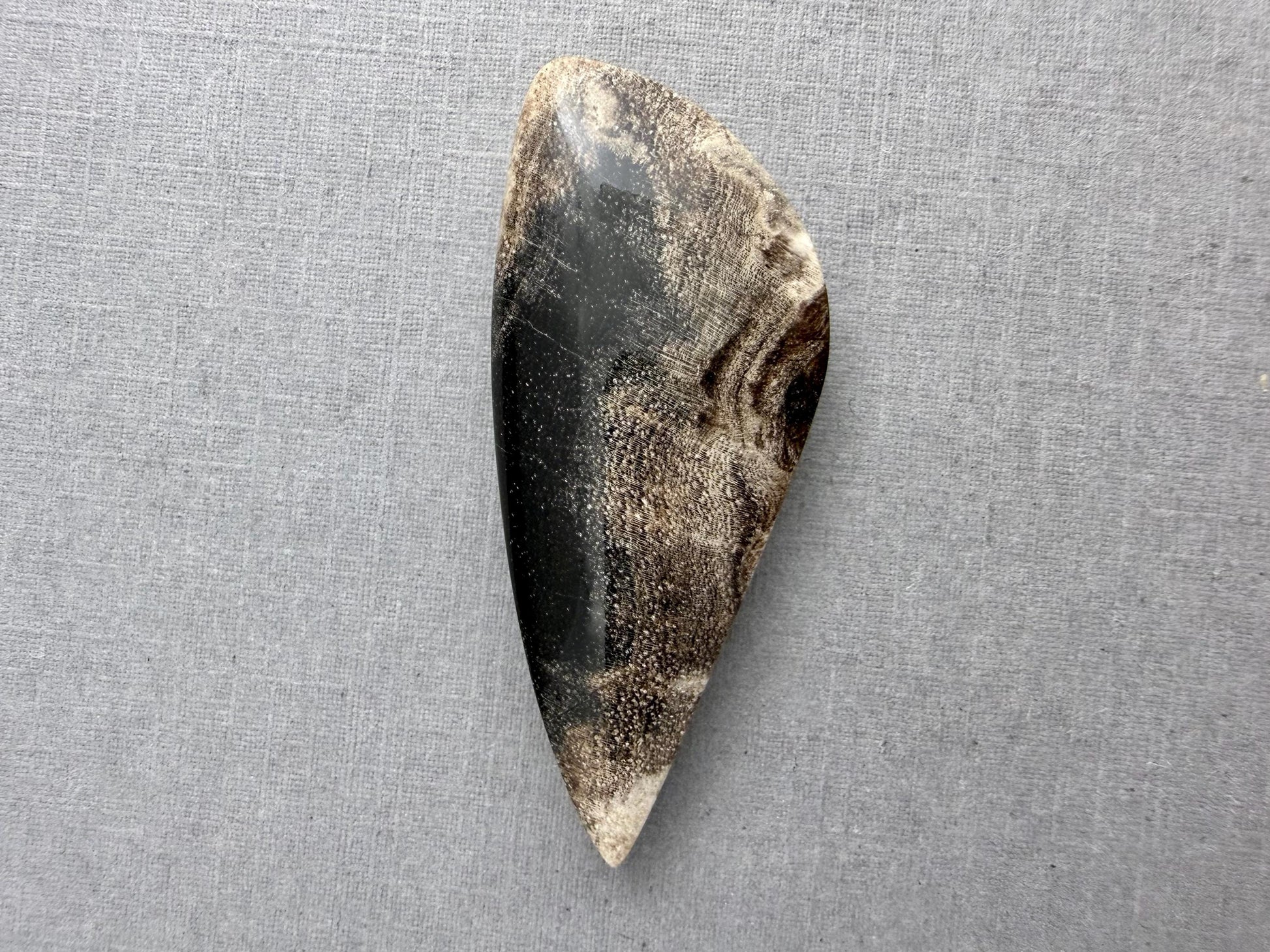 Smokey Petrified Wood | Natural Fossil Cabochons | WO253 - Petrified Wood, Smokey Quartz - GemEnthusiast