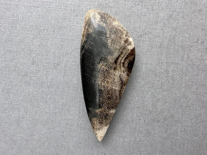 Smokey Petrified Wood | Natural Fossil Cabochons | WO253 - Petrified Wood, Smokey Quartz - GemEnthusiast