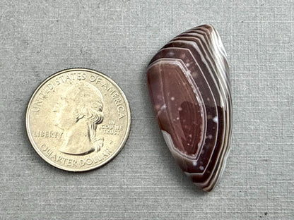 Timor Agate | 39x19x6 mm | Large Natural Loose Cabochon Gemstone | AG313 - Agate - GemEnthusiast
