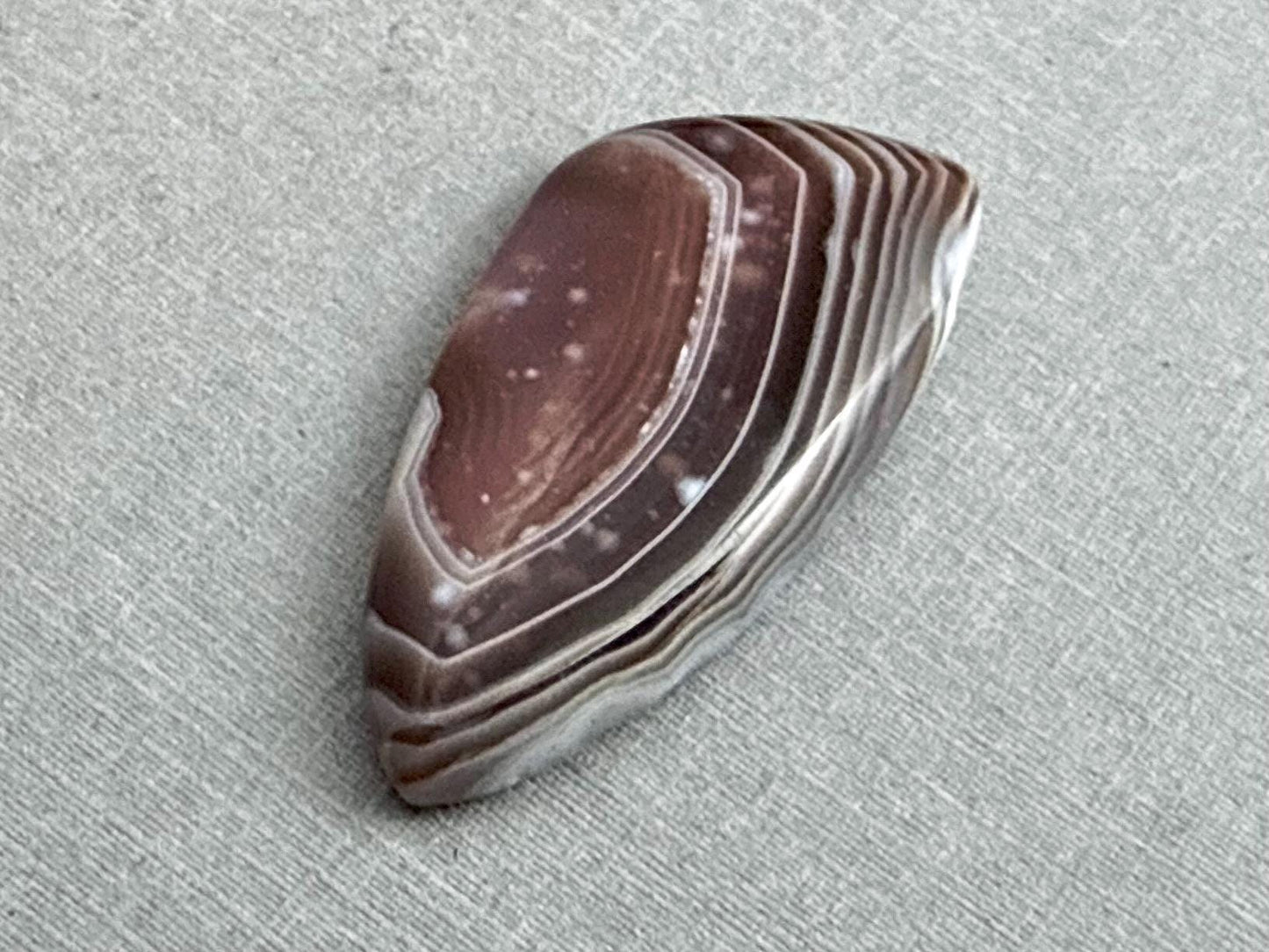 Timor Agate | 39x19x6 mm | Large Natural Loose Cabochon Gemstone | AG313 - Agate - GemEnthusiast