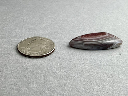 Timor Agate | 39x19x6 mm | Large Natural Loose Cabochon Gemstone | AG313 - Agate - GemEnthusiast