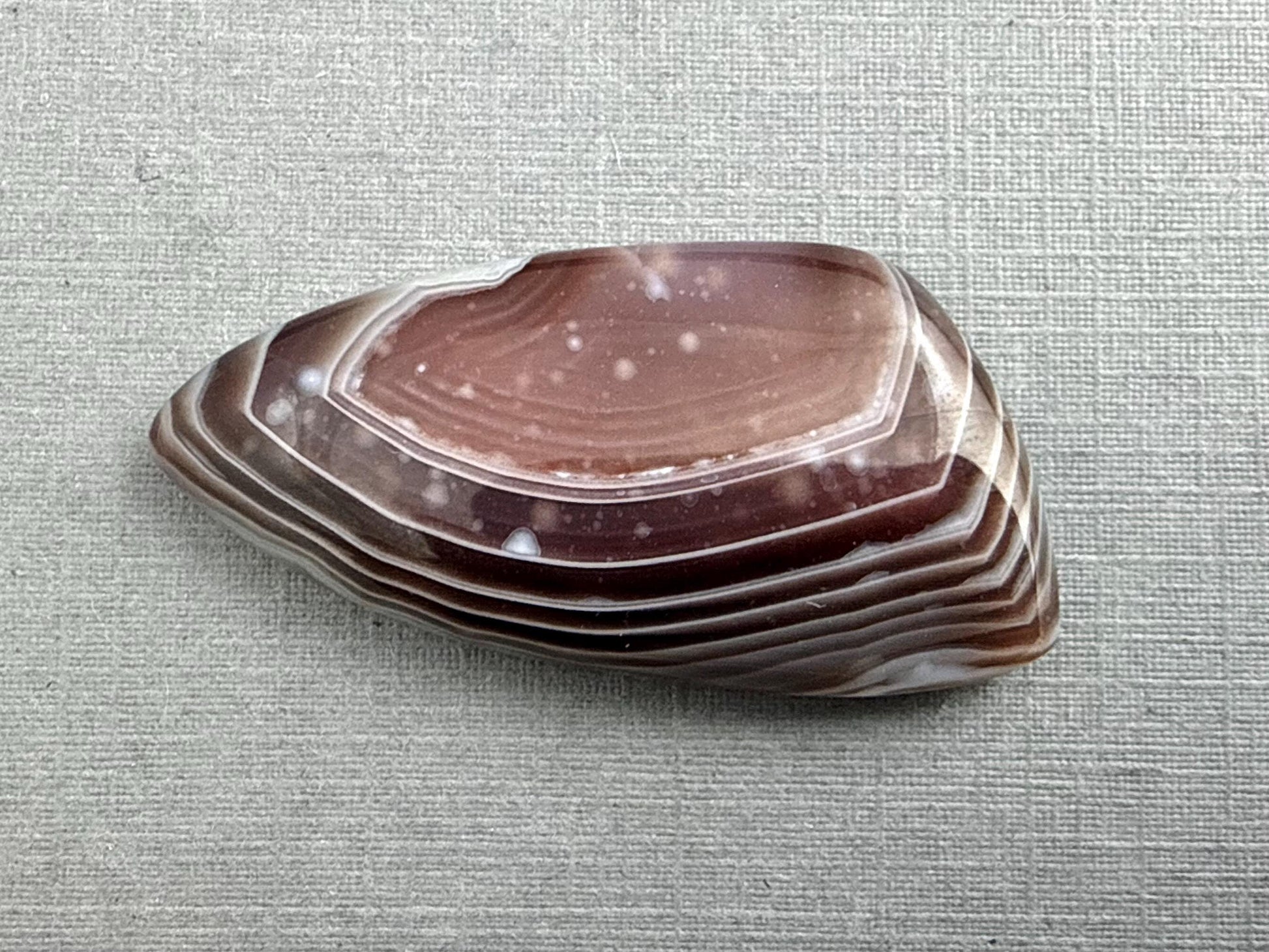 Timor Agate | 39x19x6 mm | Large Natural Loose Cabochon Gemstone | AG313 - Agate - GemEnthusiast