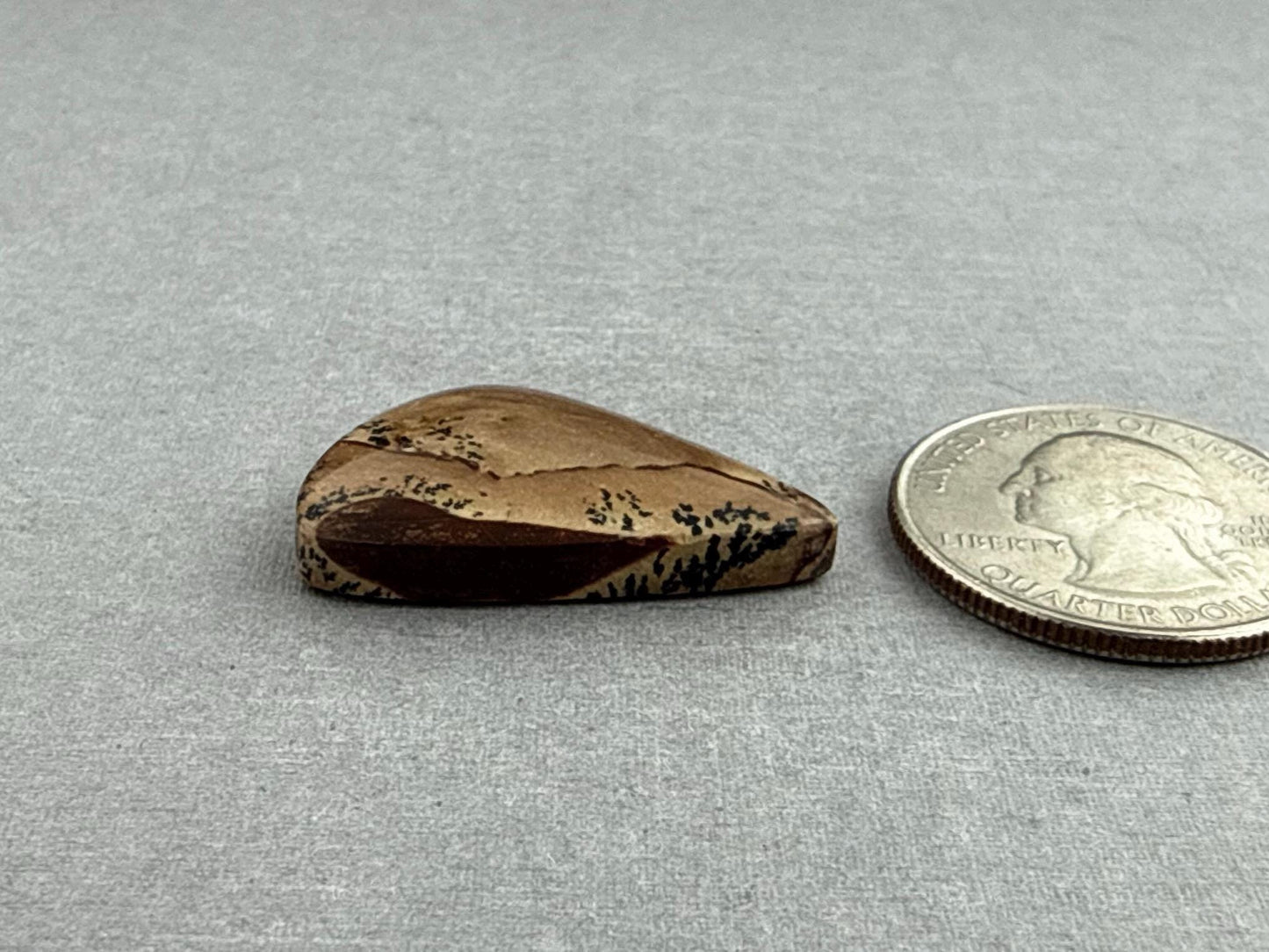 Deschutes Oregon Jasper Cabochon | Mined in the USA | JS336 - Deschutes Jasper - GemEnthusiast