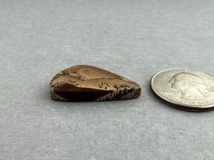 Deschutes Oregon Jasper Cabochon | Mined in the USA | JS336 - Deschutes Jasper - GemEnthusiast