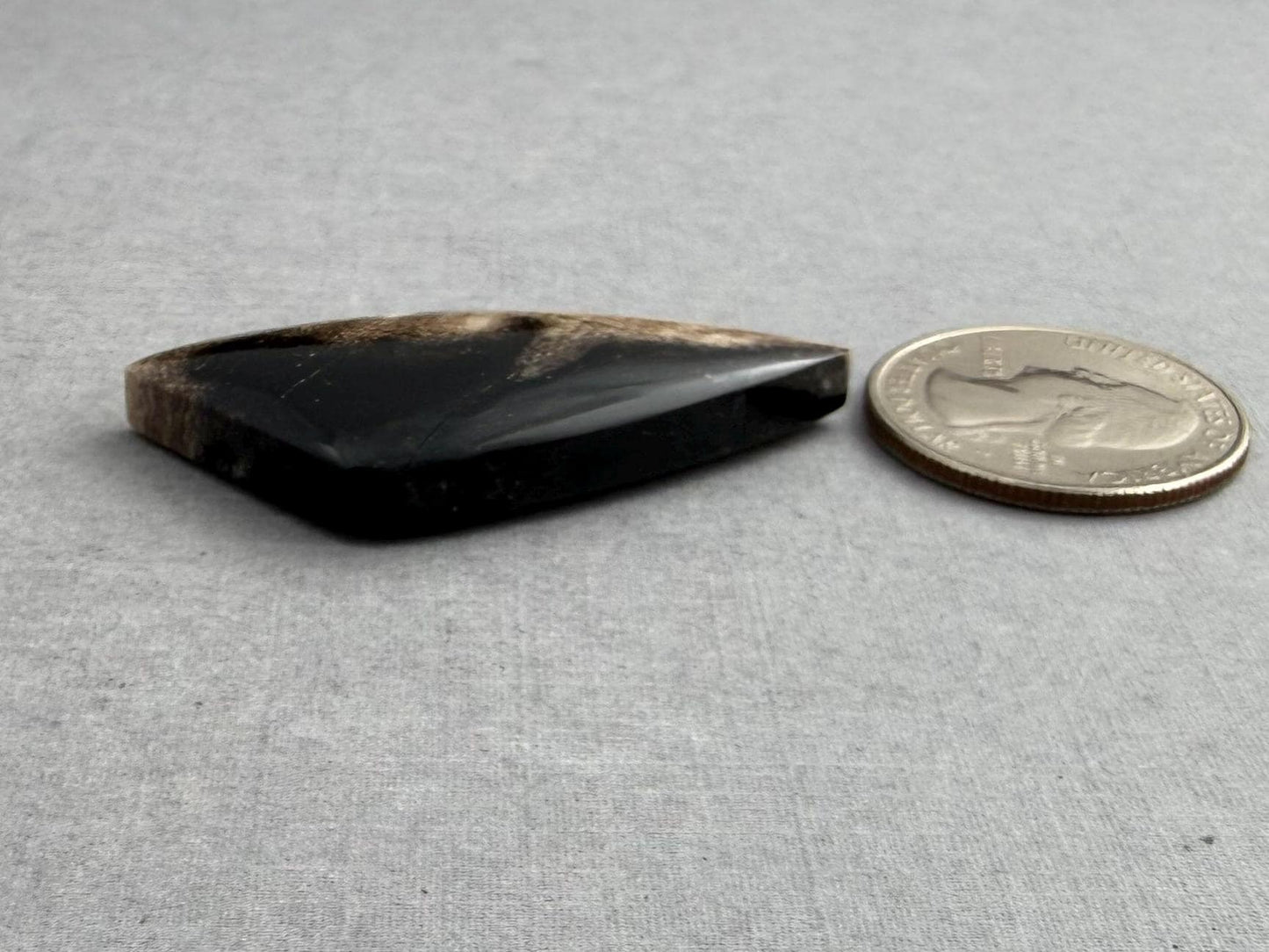 Smokey Petrified Wood | Natural Fossil Cabochons | WO254 - Petrified Wood, Smokey Quartz - GemEnthusiast