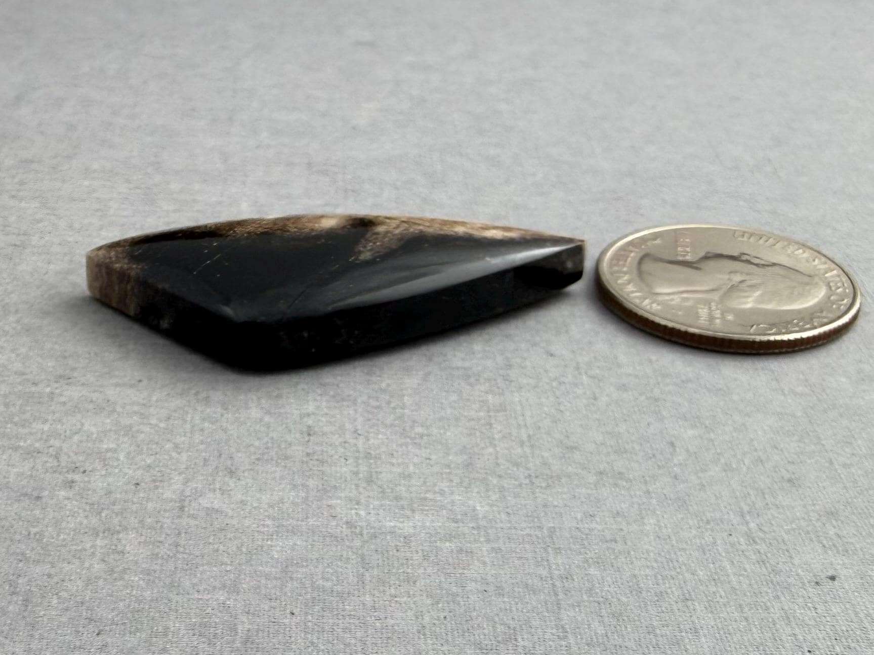 Smokey Petrified Wood | Natural Fossil Cabochons | WO254 - Petrified Wood, Smokey Quartz - GemEnthusiast