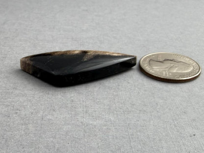 Smokey Petrified Wood | Natural Fossil Cabochons | WO254 - Petrified Wood, Smokey Quartz - GemEnthusiast