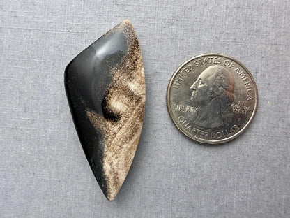 Smokey Petrified Wood | Natural Fossil Cabochons | WO254 - Petrified Wood, Smokey Quartz - GemEnthusiast