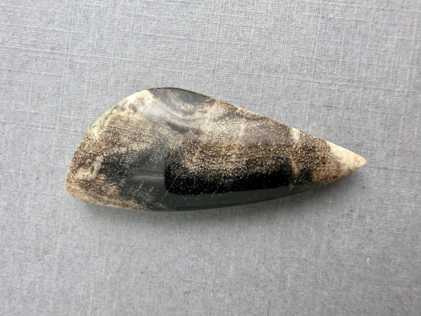Smokey Petrified Wood | Natural Fossil Cabochons | WO253 - Petrified Wood, Smokey Quartz - GemEnthusiast