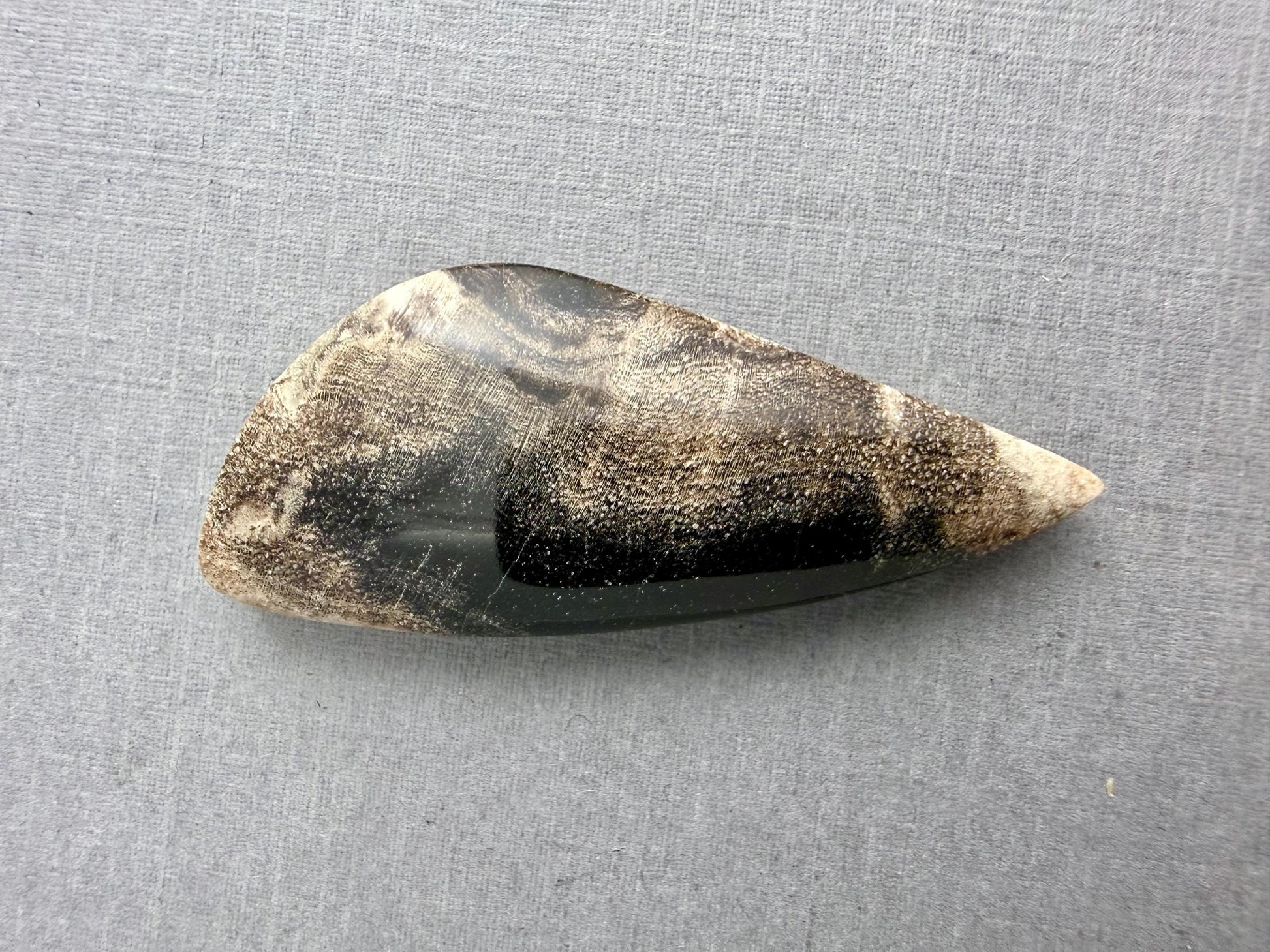 Smokey Petrified Wood | Natural Fossil Cabochons | WO253 - Petrified Wood, Smokey Quartz - GemEnthusiast