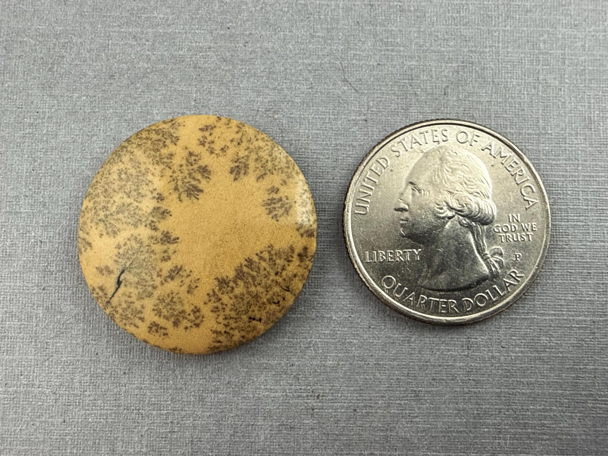 Deschutes Oregon Jasper Cabochon | Mined in the USA | JS334 - Deschutes Jasper, Biggs Jasper - GemEnthusiast