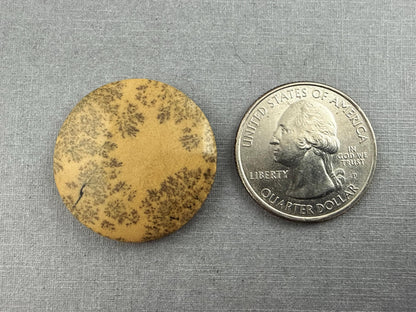 Deschutes Oregon Jasper Cabochon | Mined in the USA | JS334 - Deschutes Jasper, Biggs Jasper - GemEnthusiast